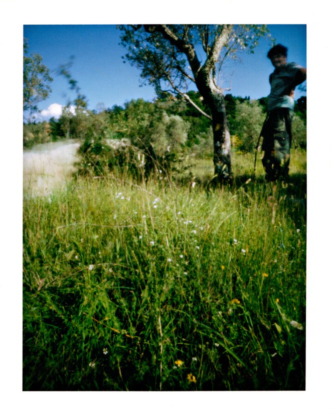 2014.06.08_003c_fumo