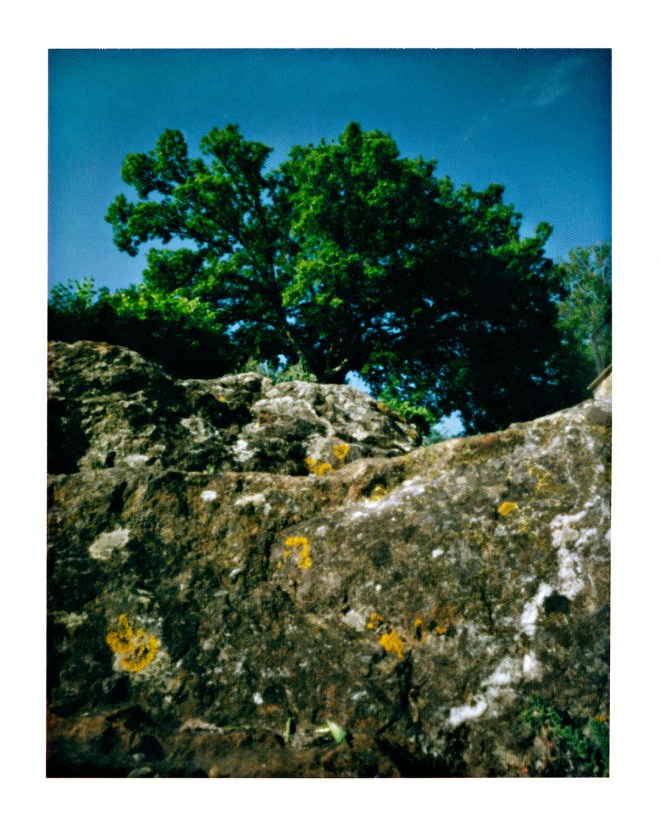 2014.06.08_005c_fumo