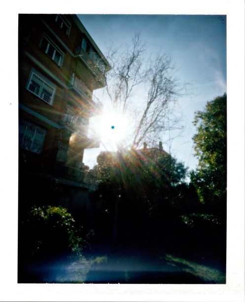 2015.01.12_001_roma_giardino